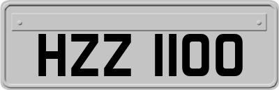 HZZ1100