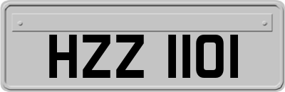HZZ1101