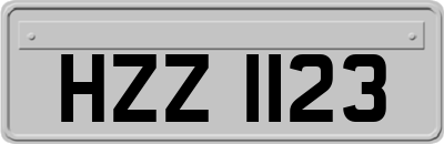 HZZ1123