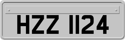 HZZ1124