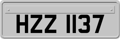 HZZ1137