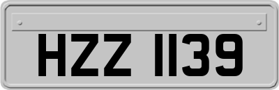 HZZ1139