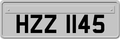 HZZ1145