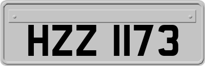 HZZ1173