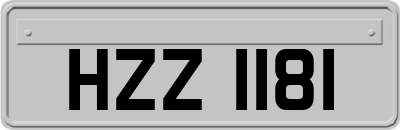 HZZ1181