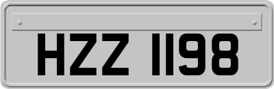 HZZ1198