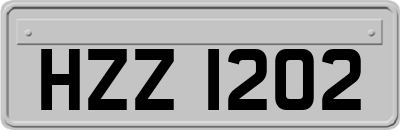 HZZ1202