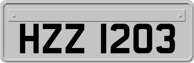 HZZ1203