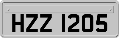 HZZ1205