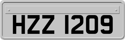 HZZ1209
