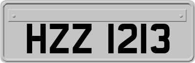 HZZ1213