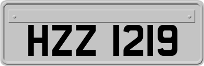HZZ1219