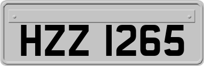 HZZ1265