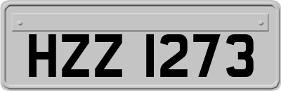 HZZ1273