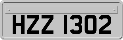 HZZ1302