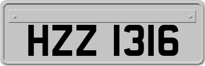 HZZ1316