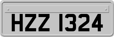 HZZ1324