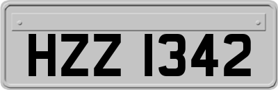 HZZ1342
