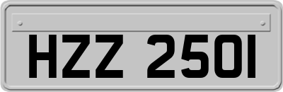 HZZ2501