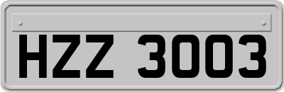 HZZ3003