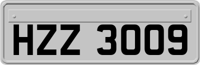 HZZ3009
