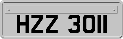 HZZ3011