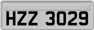 HZZ3029