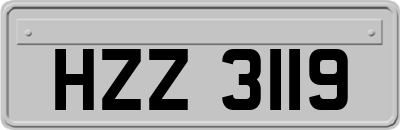 HZZ3119