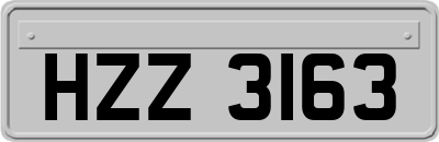 HZZ3163