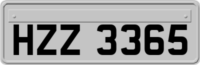 HZZ3365