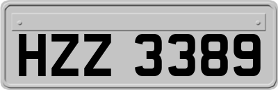 HZZ3389