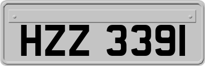 HZZ3391