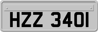 HZZ3401