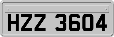 HZZ3604