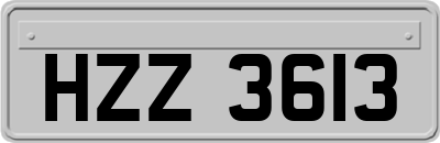 HZZ3613