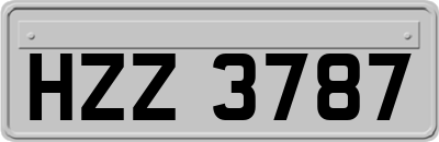 HZZ3787