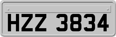 HZZ3834