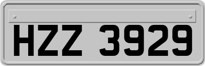 HZZ3929