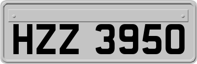 HZZ3950