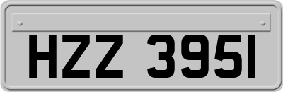 HZZ3951
