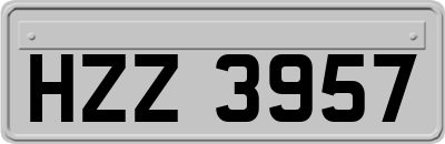 HZZ3957