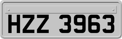 HZZ3963