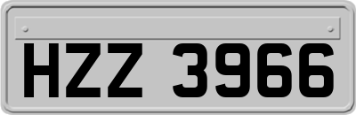 HZZ3966