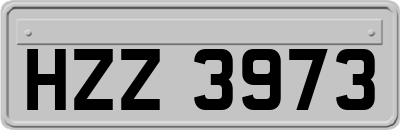 HZZ3973
