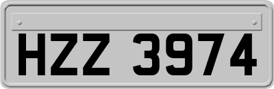 HZZ3974