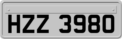 HZZ3980