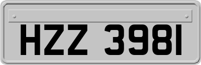 HZZ3981