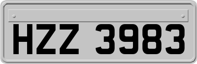 HZZ3983