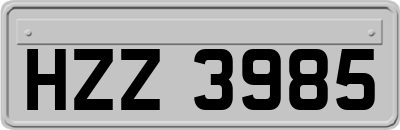 HZZ3985