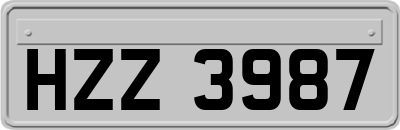 HZZ3987